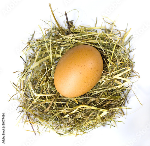 Jajko w gnieździe photo