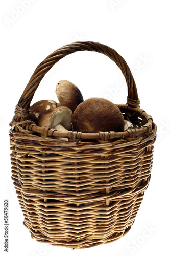 Basket full of cepe mushrooms on white background