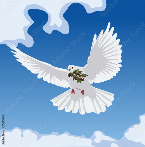 dove with olive branch