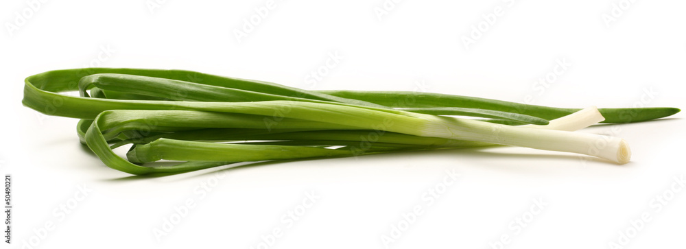 Bunch of green spring onion Bunch of green spring onion