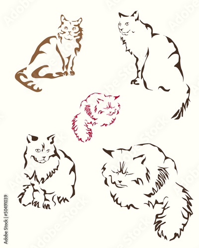 Vector abstract cat .