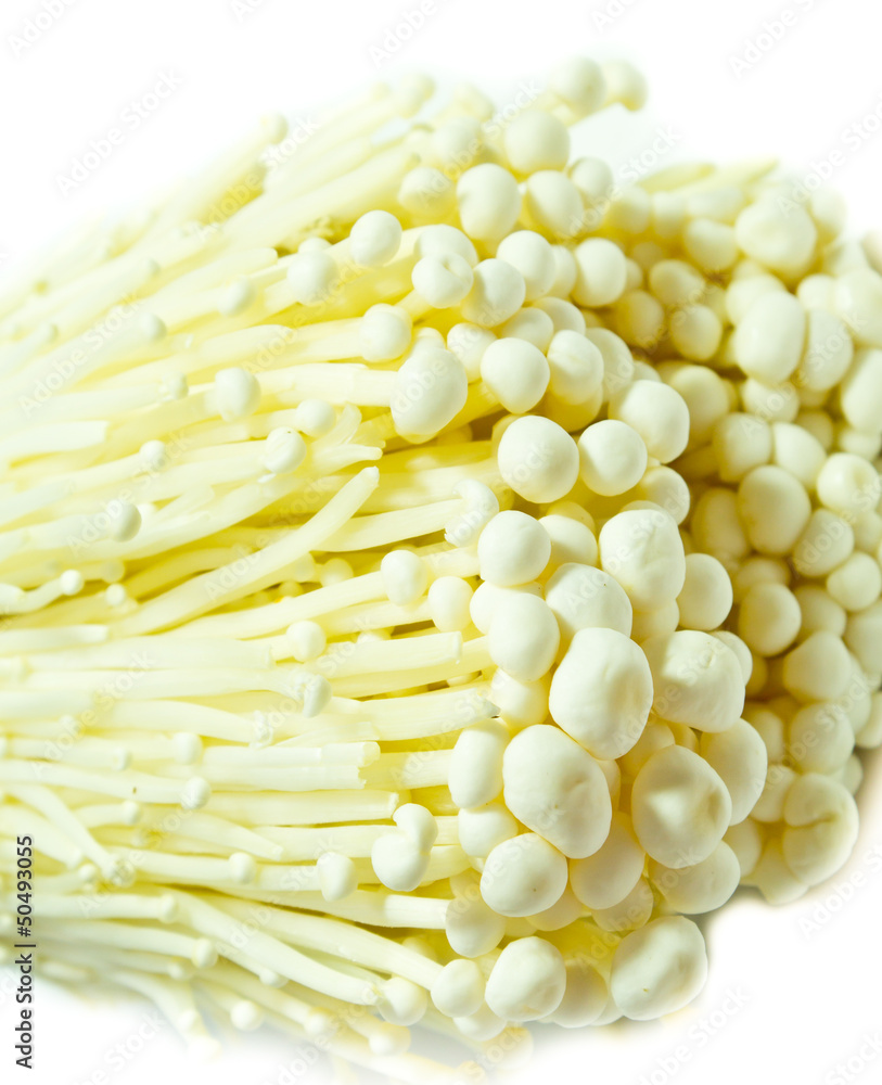 Enoki Mushroom Enoki Mushroom