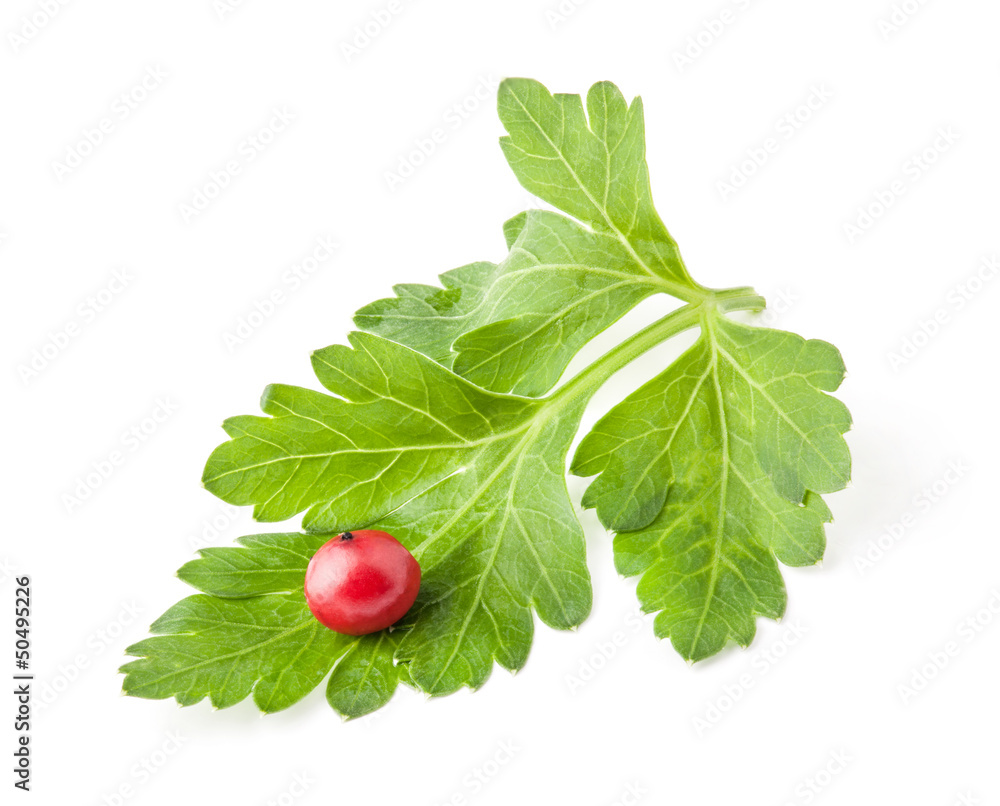 Parsley leaves with red peppercorn isolated on white, closeup Parsley leaves with red peppercorn isolated on white, closeup