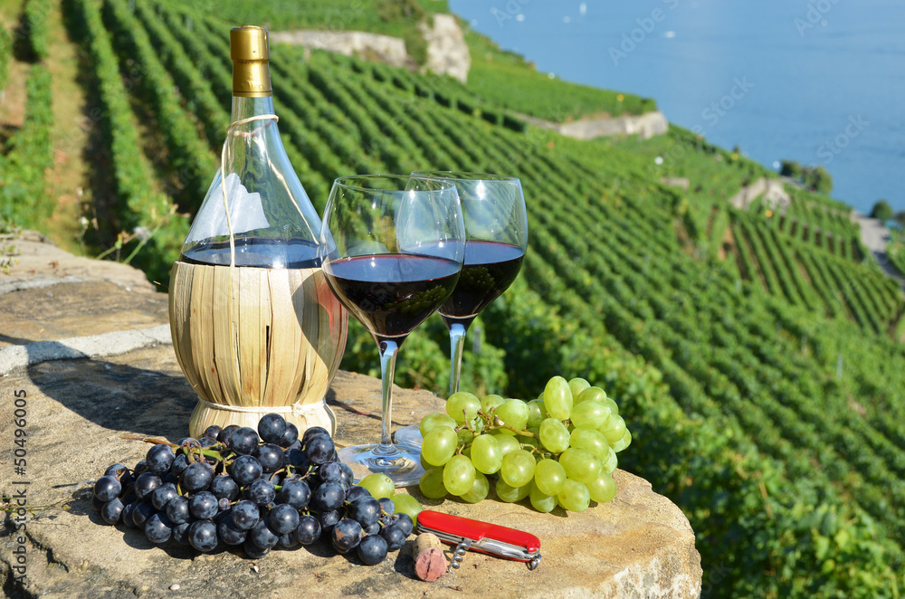 Wine on the terrace vineyard in Lavaux region, Switzerland