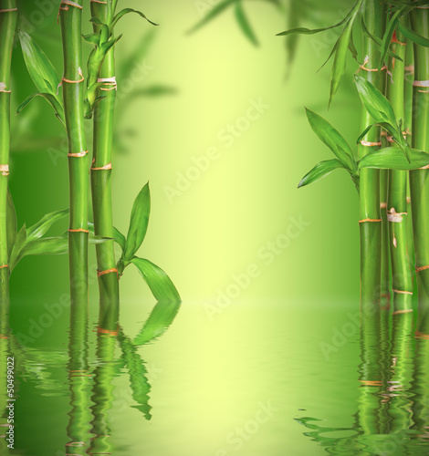 Fototapeta Naklejka Na Ścianę i Meble -  Spa still life with bamboo sprouts, free space for text