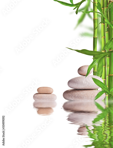 Photo Spa still life with lava stones and bamboo sprouts