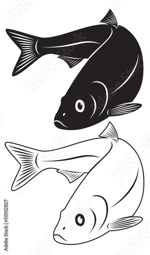 herring