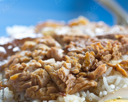 braised pork rice