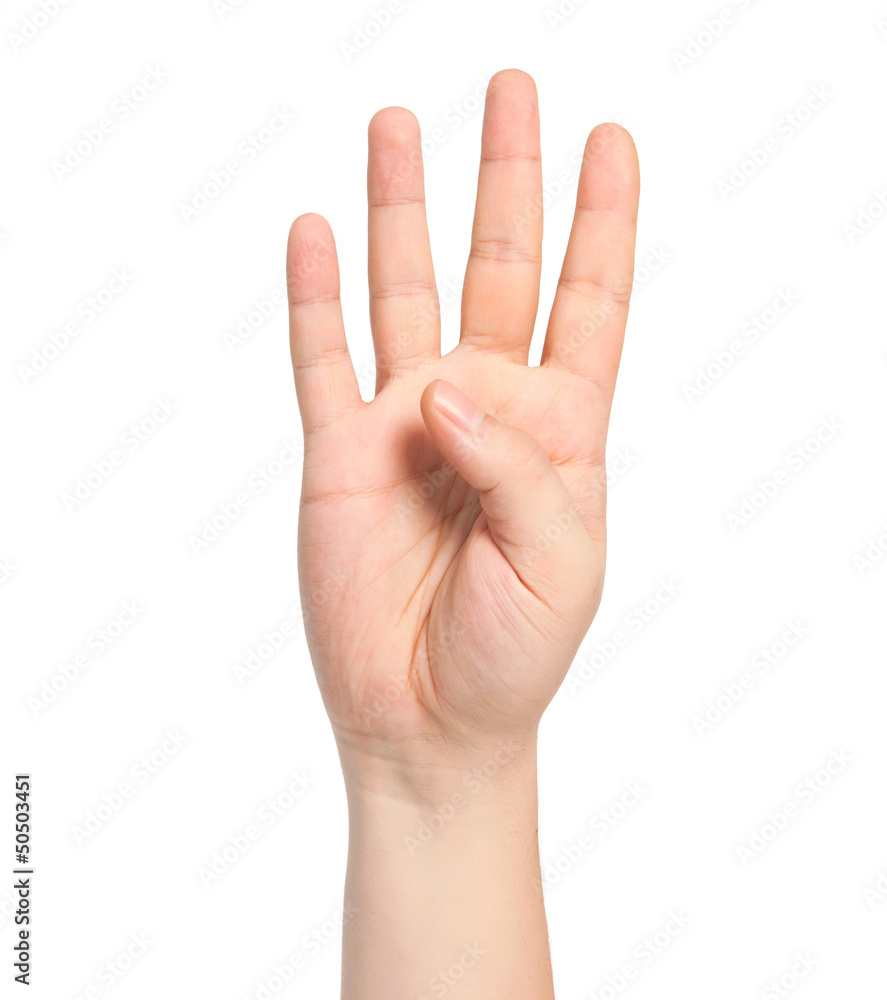 isolated male hand showing the number four isolated male hand showing the number four