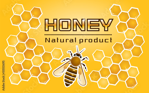 Composition of the honey bee and honeycomb with the title