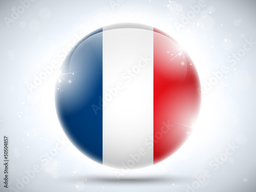 France Flag Glossy Button