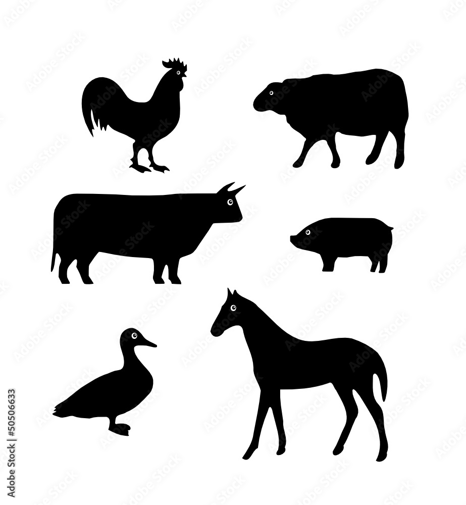 Animaux de la ferme