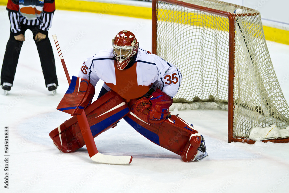 Fotografie hockey goalie