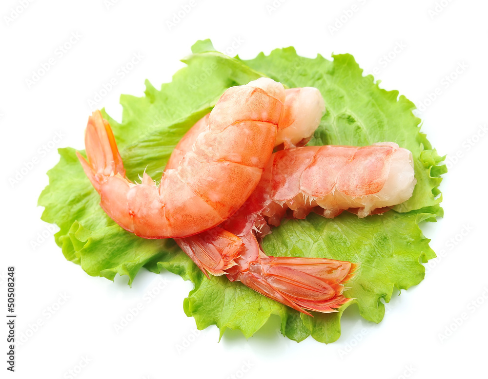 shrimps shrimps