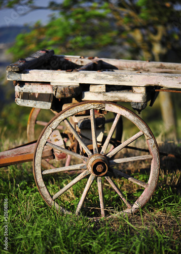 Quadro su tela Historical barrow