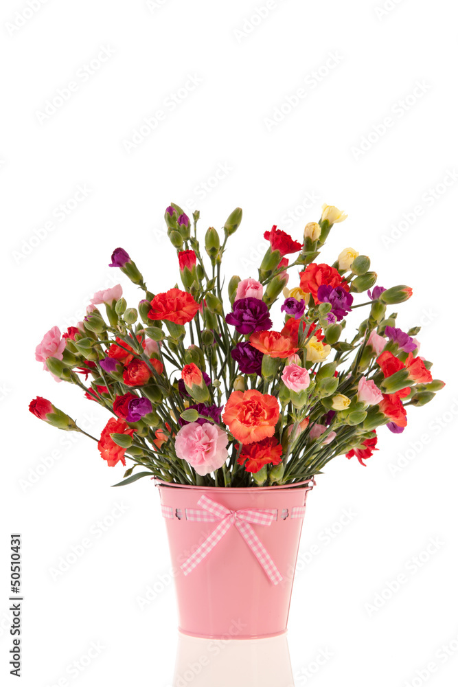 Bouquet colorful Dianthus
