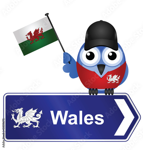 Comical Wales sign