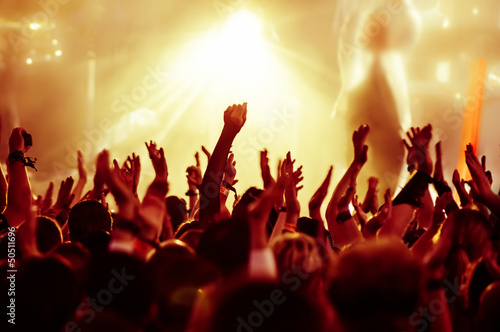 cheering crowd at concert