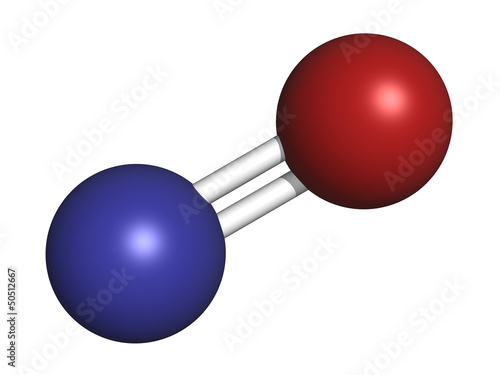 Nitric oxide (NO) free radical and signaling molecule, molecular