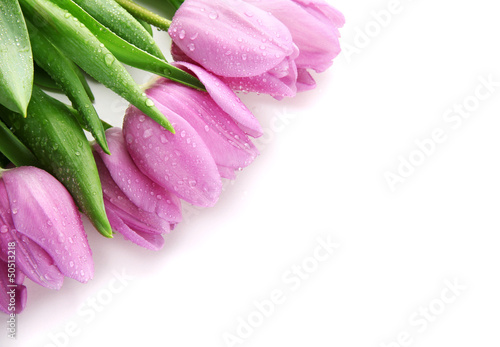Fototapeta Naklejka Na Ścianę i Meble -  Beautiful bouquet of purple tulips, isolated on white
