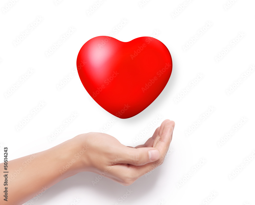Heart in a hands isolated Heart in a hands isolated