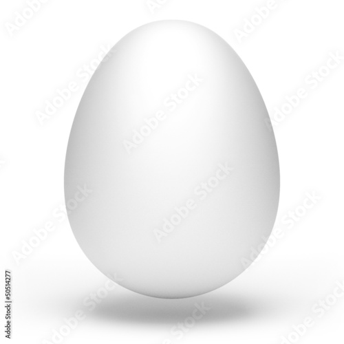 Egg on White Background
