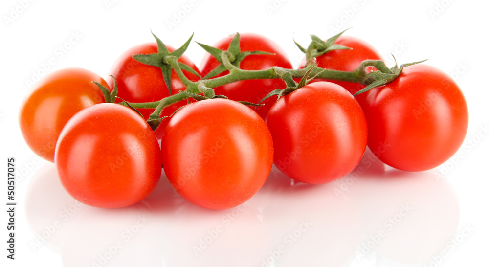 Cherry tomatoes on a branch isolated on white Cherry tomatoes on a branch isolated on white