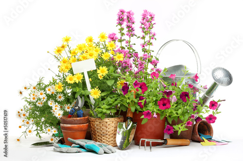 Obraz na plátně Gardening tools and flowers