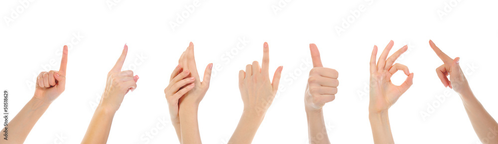 Hand on white backgroud Hand on white backgroud