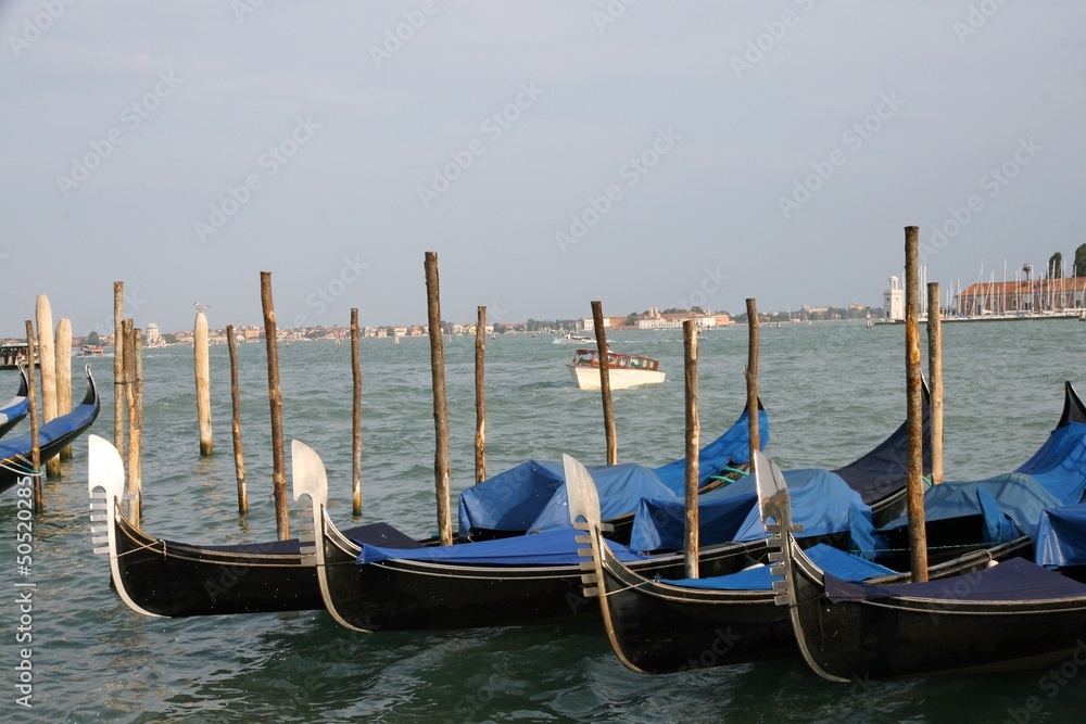 gondolas in Venice lagoon docked at the port