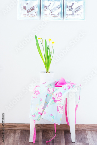 daffodil in a pot on a white stool against a white wall © Kamila Cyganek