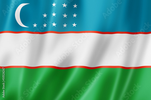 Canvas-taulu Uzbekistan flag