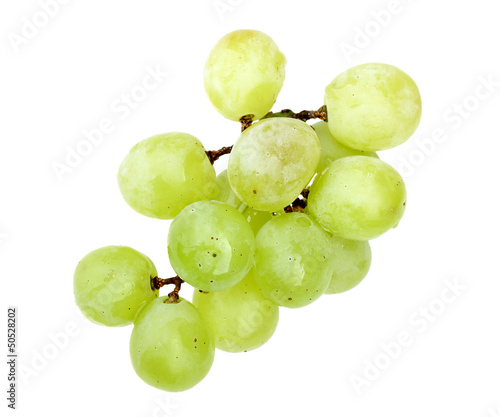 Small branch of fresh green grape