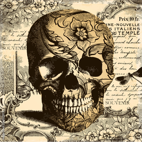 Vintage Skull background
