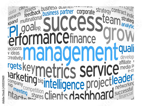 MANAGEMENT Tag Cloud (leadership performance decision-making)