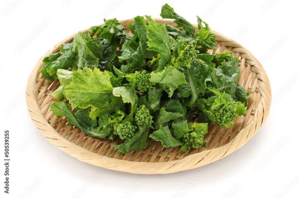 edible field mustard, japanese spring vegetable edible field mustard, japanese spring vegetable