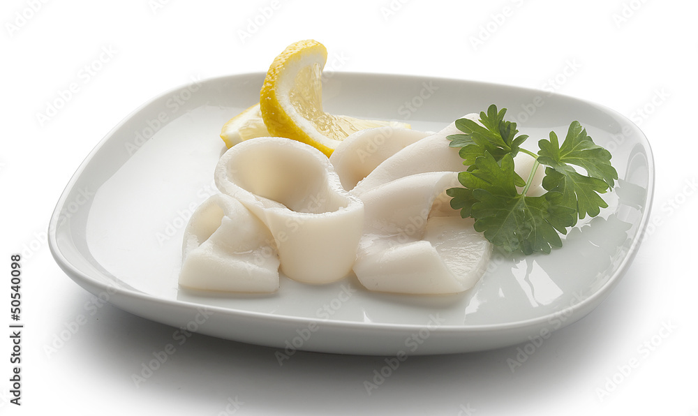 Squid Squid