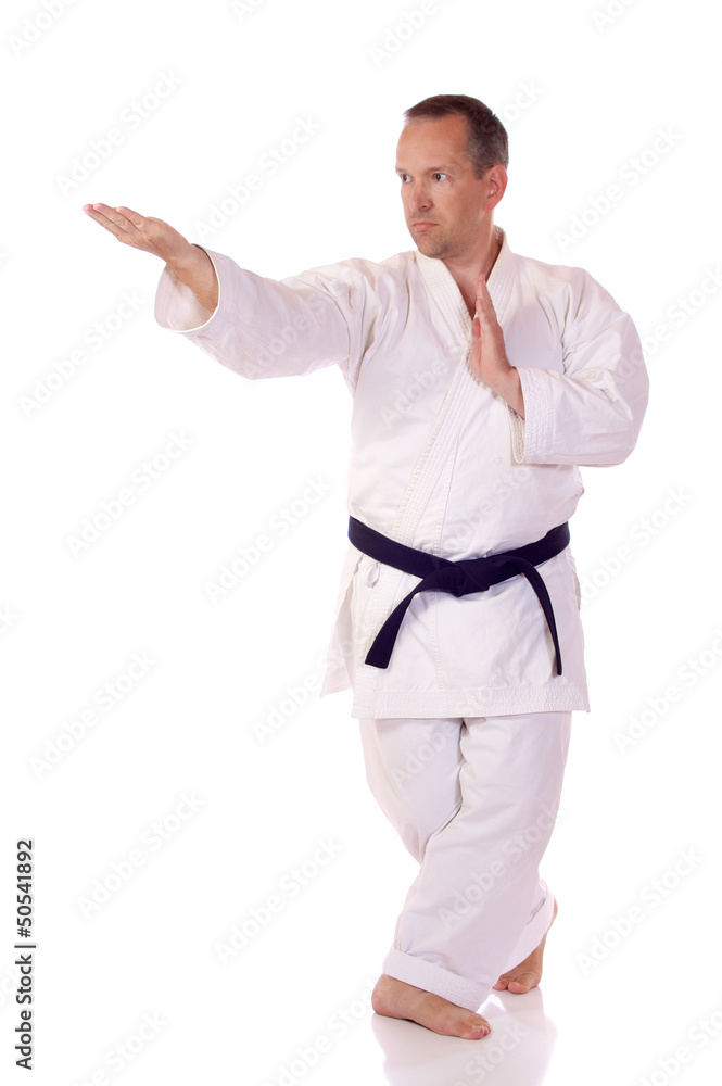 Karateka