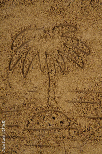 palm drawing in the sand