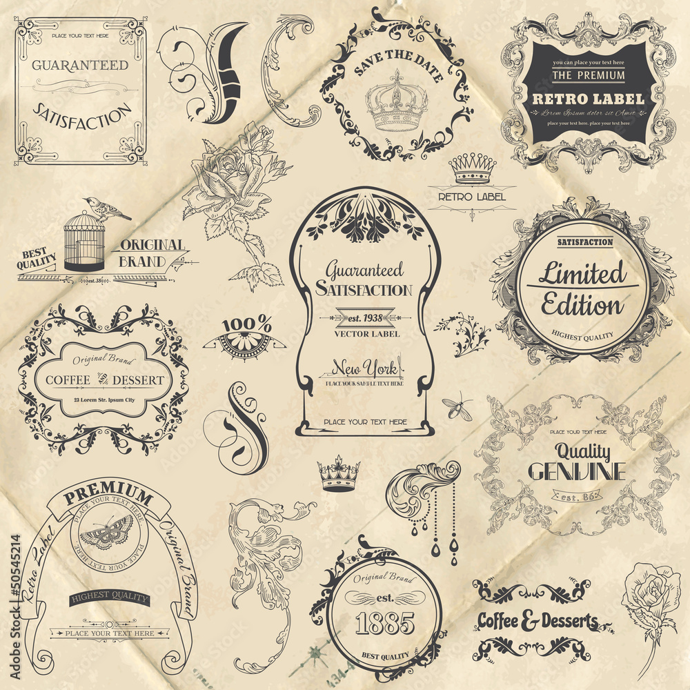 Vector Set: Calligraphic Design Elements and Page Decoration, Vi