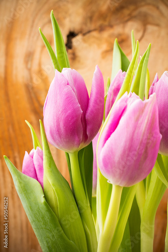 Fototapeta Naklejka Na Ścianę i Meble -  Tulips.