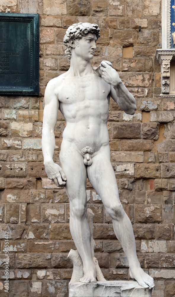 Obraz premium David w Michelangelo