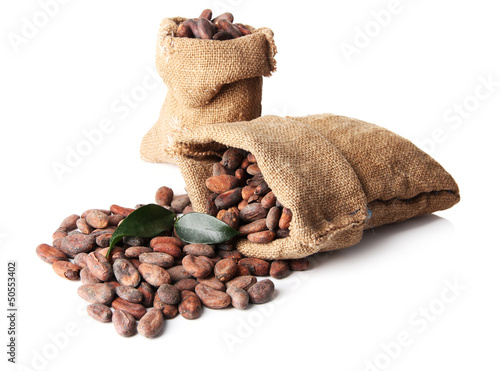 Cocoa beans in bags with leaves isolated on white