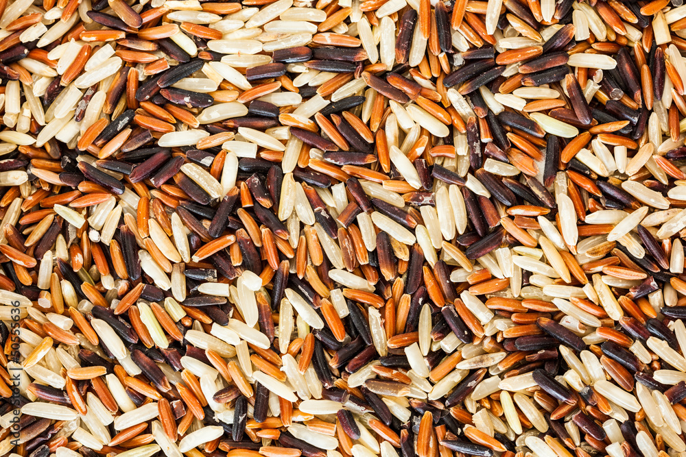 rice rice