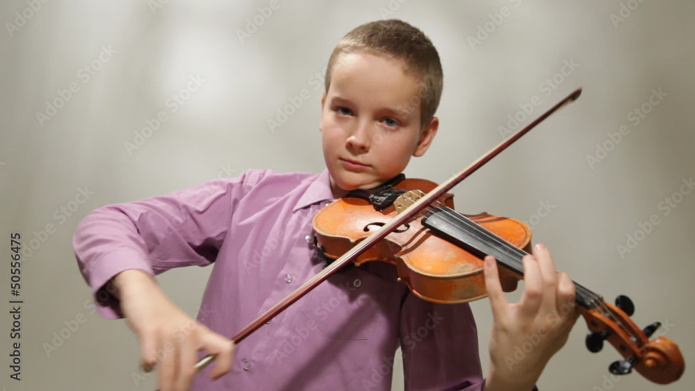 Violinist Violinist