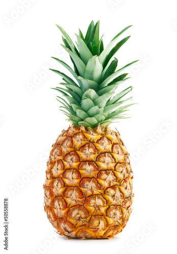 Canvastavla Pineapple