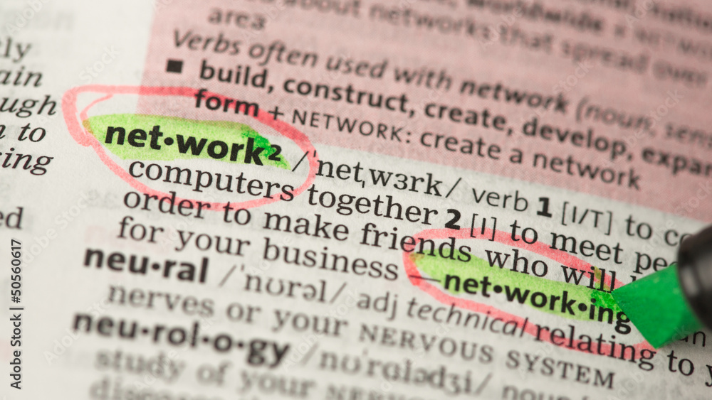 Fototapeta premium Network definition circled and highlighted