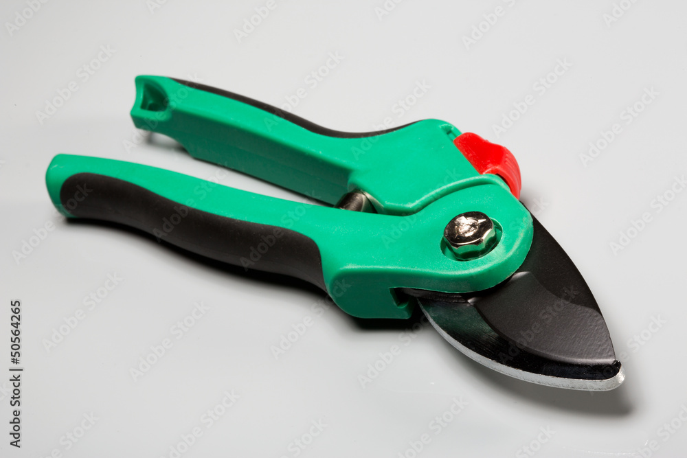 Obraz premium garden shears