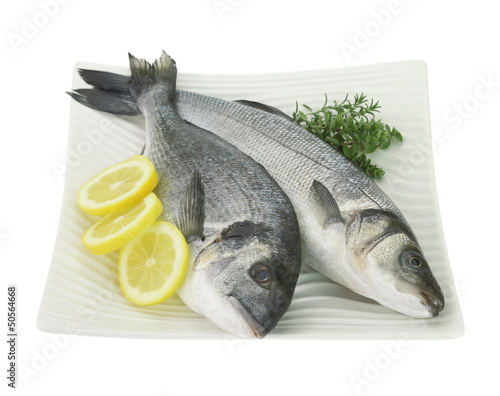 Fresh fishes with lemon and herbs on plate isolated on white photo