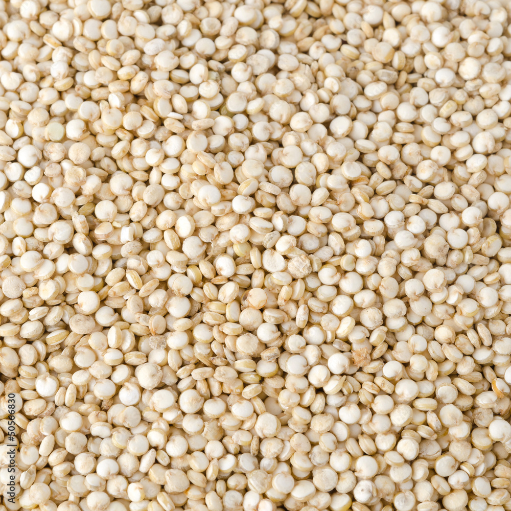 Quinoa seed closeup background Quinoa seed closeup background